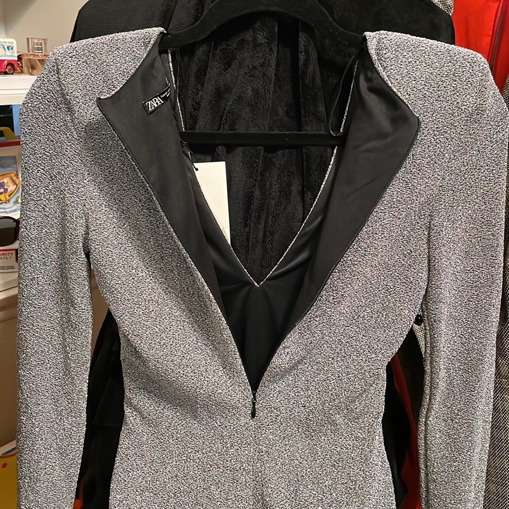 Zara Silver Long Sleeves Bodysuit - Picture 9 of 11
